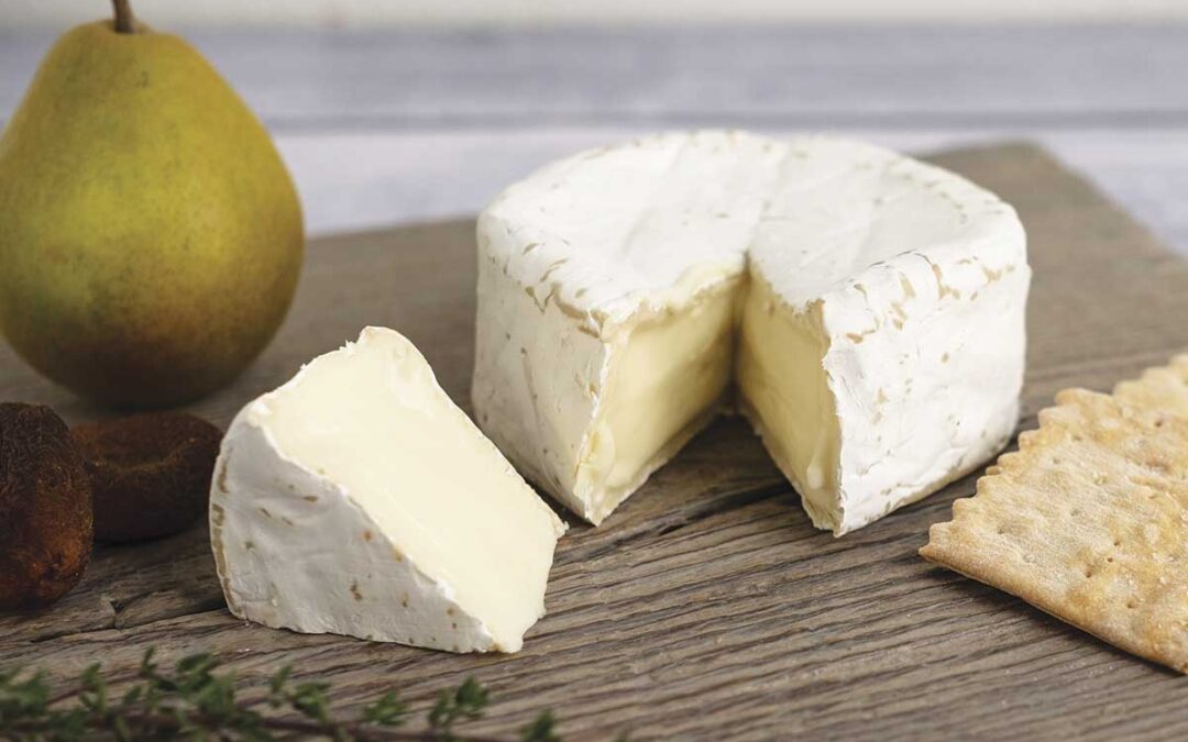 The Delicious Evolution ofCalifornia’s Cheese Trail
