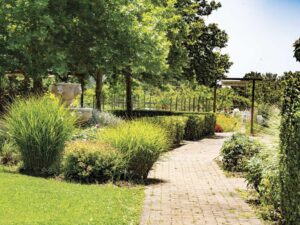 garden with trail of pavers at DeLoach Vineyards