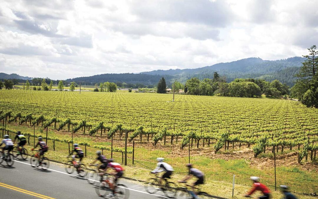 Purpose-Driven Pedaling:Napa Is a Cyclist’s Dream