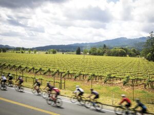 group of Cyclists riding on a road in front of a vineyard in Napa