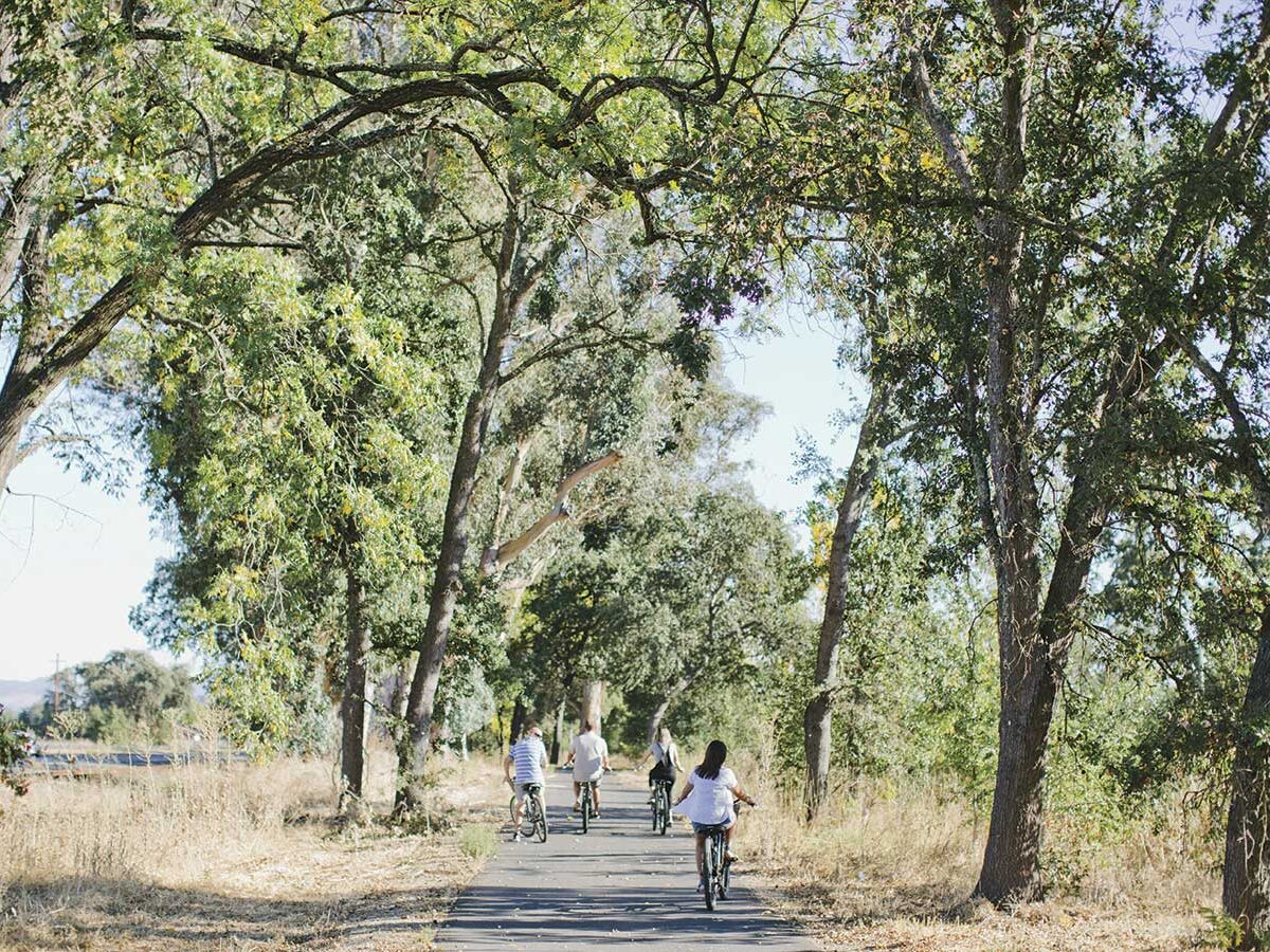 Follow the Vine Trail - Napa Valley Life Magazine