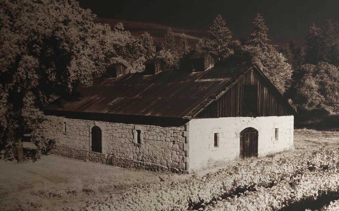 Ghost Wineries of Napa Valley