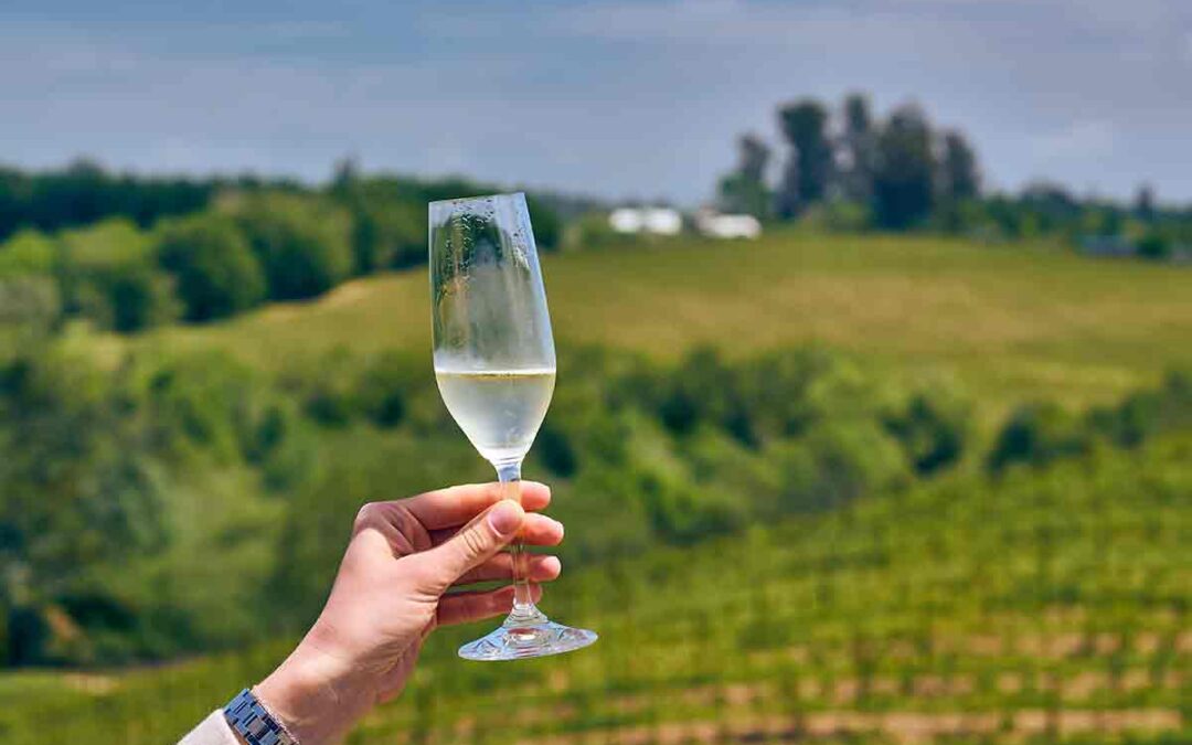 Behind the Vine: Sparkling