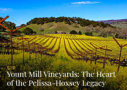 outdoor patio at Somerston Estate