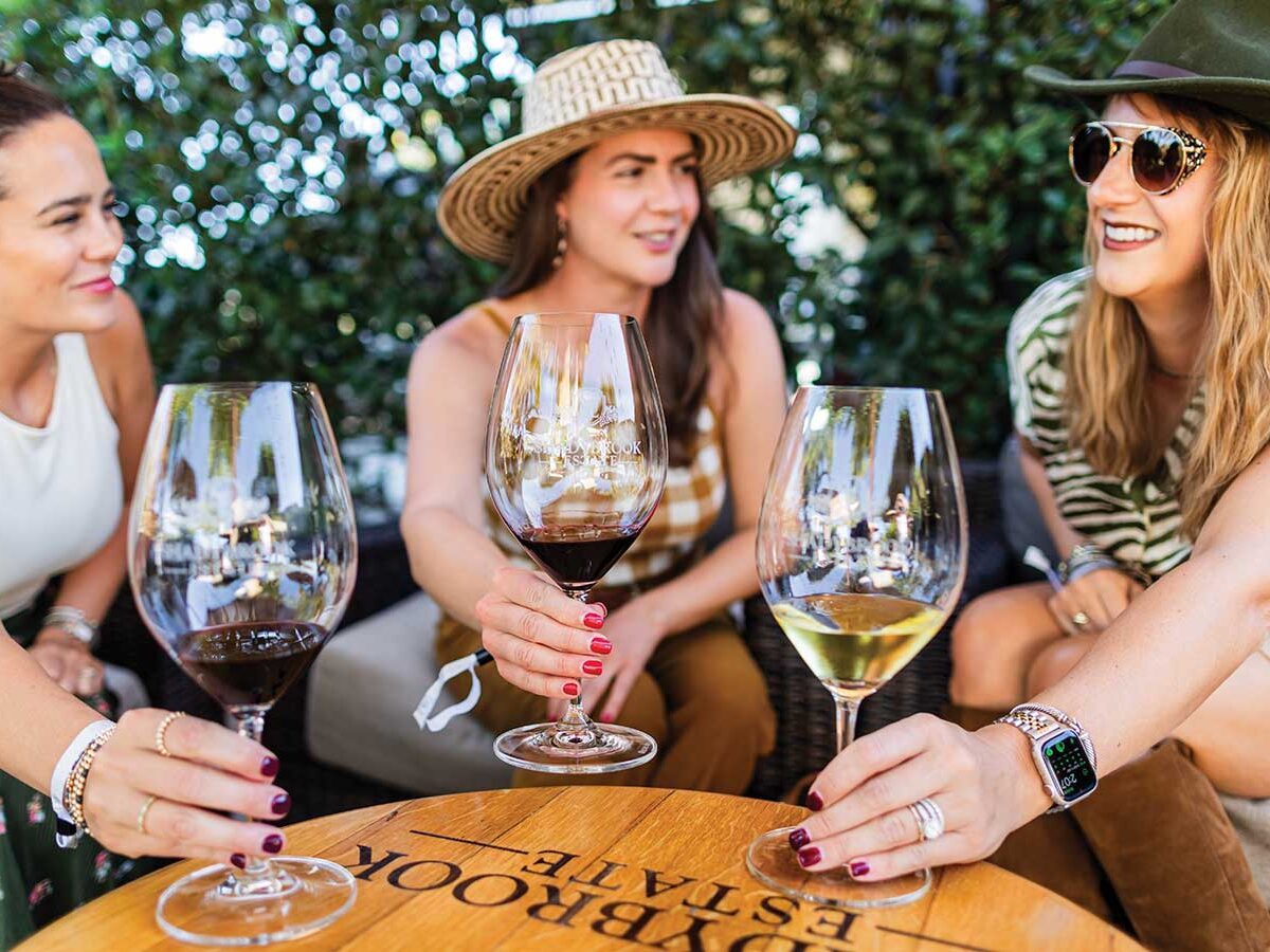 3 adult women sitting outside with wine glasses at Shadybrook Estat, smiling